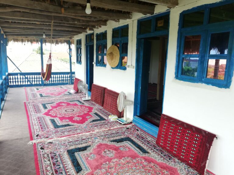 اتاق هلوچین